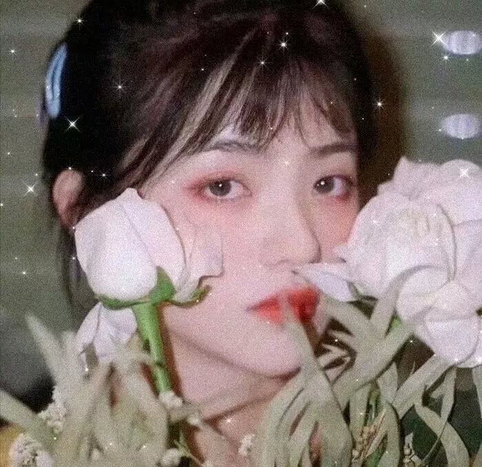 八面玲珑的申小姐